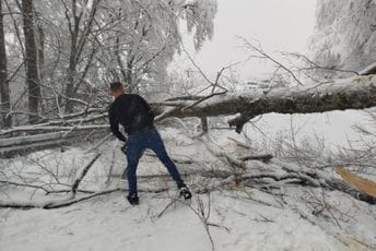 (FOTO) Vozači posjekli i uklonili palo drvo sa puta Šavnik – Nikšić: Pozajmili šegu od mještanina