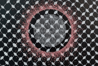 Izložba "Palestina kroz crnogorske oči" u srijedu u Budvi Izložba "Palestina kroz crnogorske oči" u srijedu u Budvi