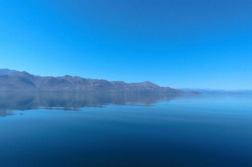 NP Skadarsko jezero: Krivolovci bježeći udarili u plovilo Službe zaštite, u vodu vraćeno 70 kilograma ribe