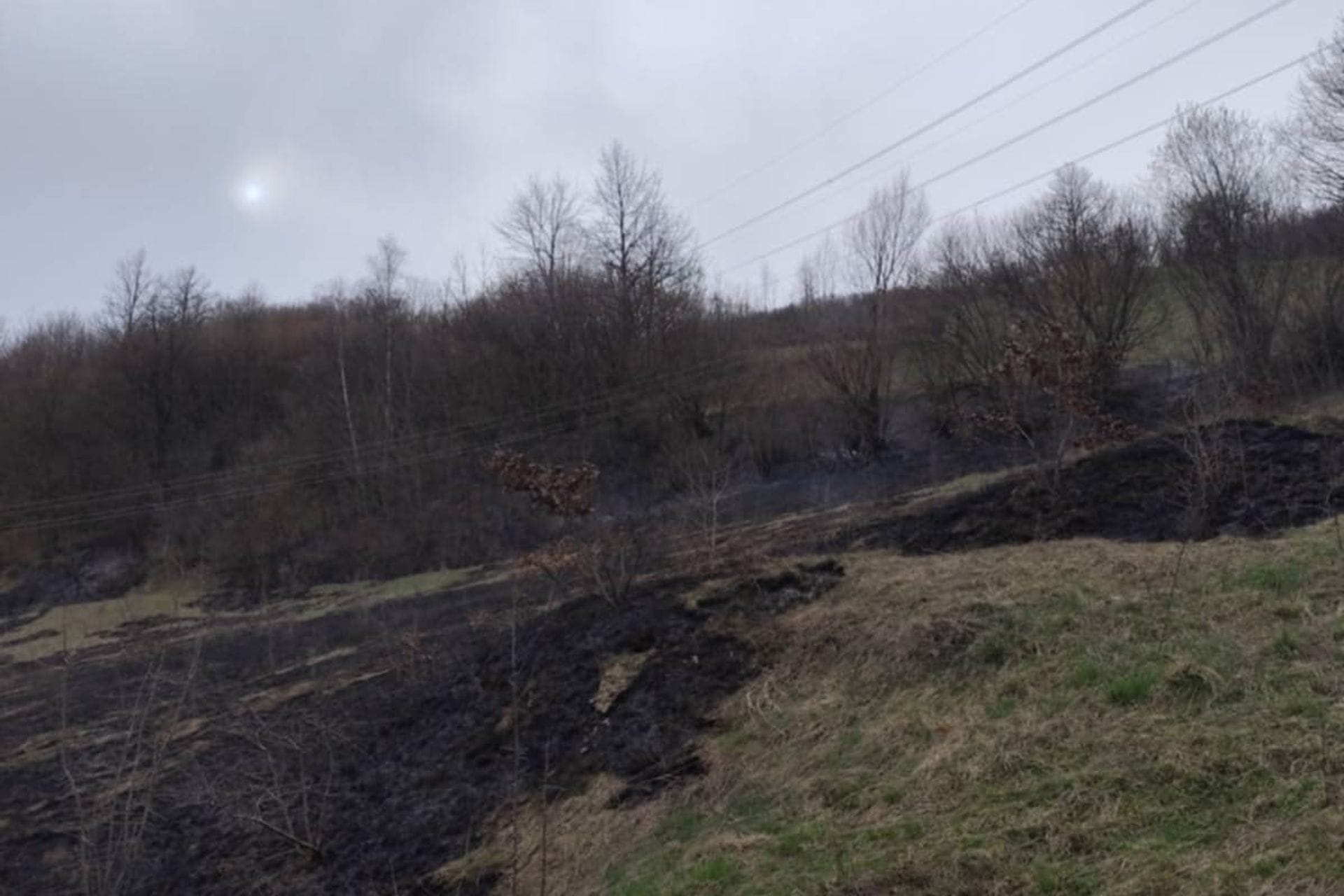 Fotografija 2: (FOTO/VIDEO) Više požara buknulo na području Bijelog Polja: Vatra prijetila kućama, gašenje otežavao vjetar