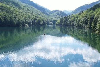 Krivične prijave protiv dvije osobe: Nelegalno gradili u NP Biogradska gora i zauzimali zemljište u naselju Dolac