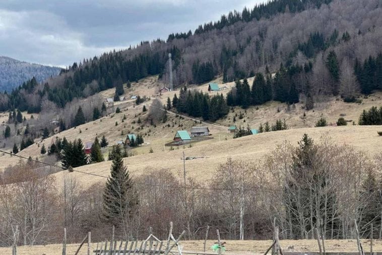 Vlasniku pilane u Beranama krivična prijava zbog sječe čamove građe na Jelovici