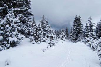 Danas kiša, na sjeveru snijeg