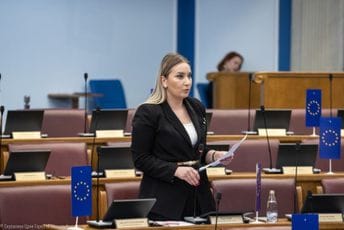 Vučelić: Milan Knežević nudi ono što Crnoj Gori ne treba