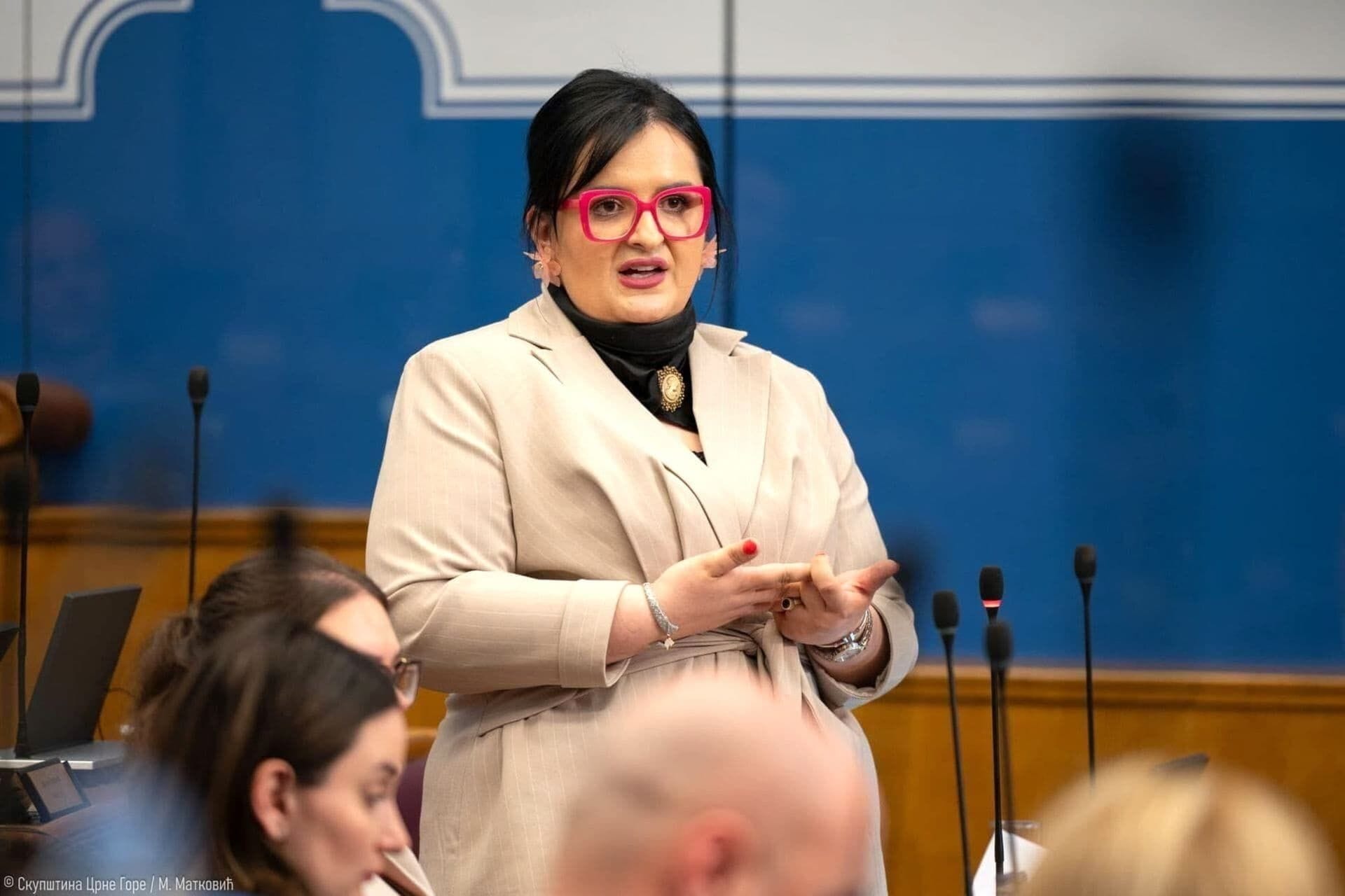 Fotografija 6: Modna kritičarka ocjenjivala stil crnogorskih političara: Evo koju ocjenu su dobili Spajić, Knežević, Nišić, Gorčević....