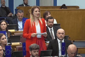 Nedović podnijela ostavku na članstvo u Odboru za bezbjednost i odbranu
