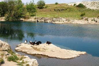 Uhapšena dvojica maloljetnika: Provaljivali u vozila na Cijevni, krali stvari, pa ih bacali u rijeku