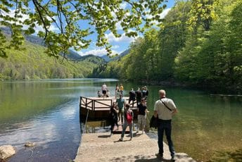 Biogradska gora vrvi od turista (FOTO)