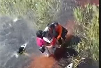 (VIDEO) Avion se srušio u močvaru punu aligatora: Na olupini satima čekali spasilačke službe