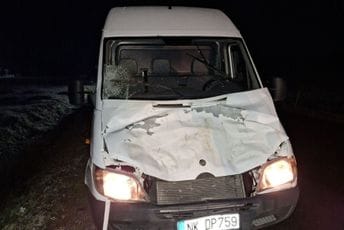 Na putu Žabljak-Šavnik: Automobilom udario u konja