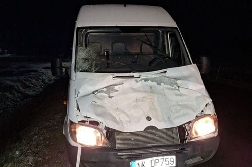 Na putu Žabljak-Šavnik: Automobilom udario u konja