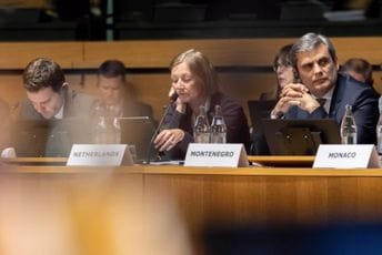 Ibrahimović: Nastavićemo da snažno promovišemo vrijednosti multilateralizma