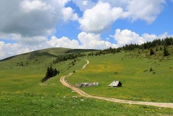 Šetnja oko Biogradskog jezera