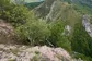 Evo kako je spašen Šavničanin koji je čitavu noć proveo viseći na drvetu iznad ambisa