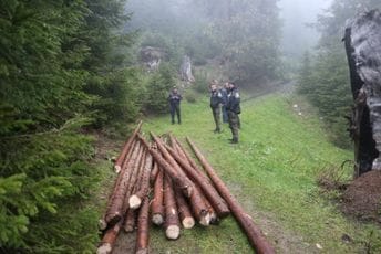 Prokletije: Bespravna sječa šume na području nacionalnog parka