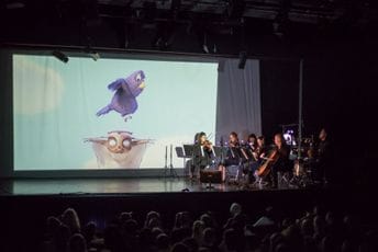 KotorArt i mladi: Ovog ljeta solistički nastupi talenata, muzički bioskop i opere za djecu