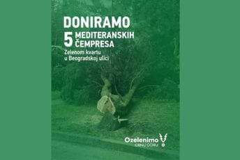 GI Ozelenimo Crnu Goru donira pet čempresa stanarima Beogradske ulice u Podgorici