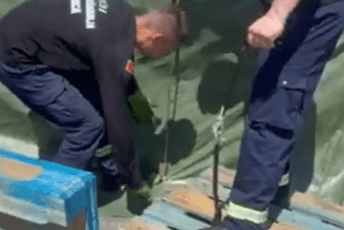 Vatrogasci u Donjoj Gorici uklanjali zmiju: Pogledajte gdje se zavukla (VIDEO)