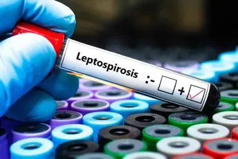 Dva nova slučaja leptospiroze u Sarajevu: Evo koliko je zaraženih