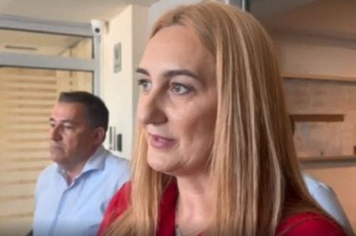 Radulović: Prema zakonu, Perović je direktorica ASK