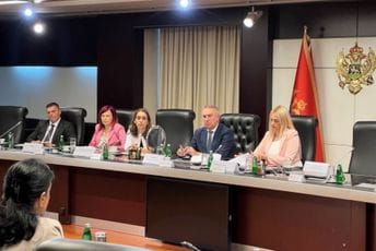 Sjednica Savjeta za prava lica sa invaliditetom: Nijedna žena i djevojčica sa invaliditetom ne smiju biti izložene nasilju ili diskriminaciji