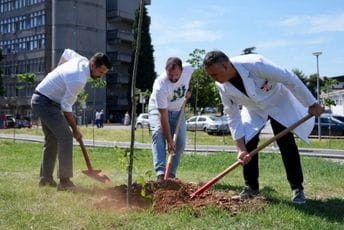 (FOTO/VIDEO) Milatović posadio sadnice lipe u dvorištu KCCG