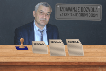 Crnogorski dompasi