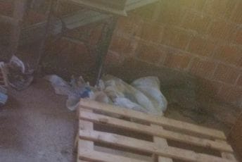 (FOTO) Banka hrane apeluje za pomoć Kristijanu Čujoviću iz Bijelog Polja