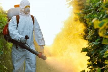 Počinje sistemska dezinsekcija na teritoriji Podgorice