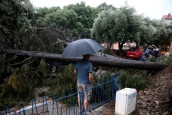 Nezapamćeno nevrijeme protutnjalo Istrom: Povrijeđene tri osobe, nasukano 30 jahti, oborena brojna stabla... (FOTO/VIDEO)