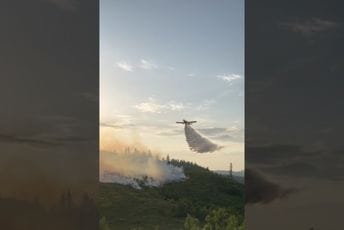 Bijelo Polje: Ugašen požar na teško pristupačnom terenu iznad Barica, dva dana se borili sa vatrenom stihijom