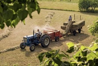U Beranama poklanjaju sijeno kako ne bi propadalo