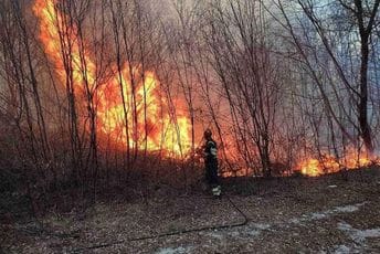 Požar u Perastu: Vatrena stihija zahvatila trafostanicu, šumu, vozila...