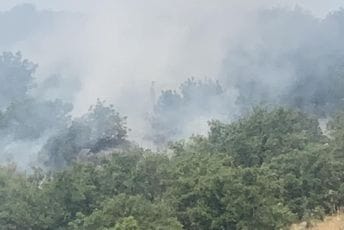 Bukti požar na periferiji Podgorice: Vatra se primiče Vrelima ribničkim