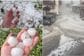 (VIDEO) Oluja zahvatila Austriju:  Grad razbijao automobile, u Sloveniji izdali upozorenje