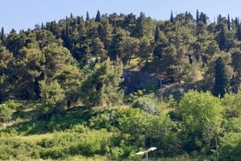 Božović: Očekujem podršku svih odbornika proglašenju Ljubovića parkom prirode Ljubović