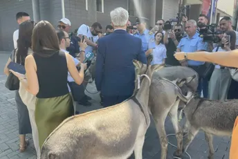 Magarci ispred Skupštine Kosova, ništa od sjednice (VIDEO)