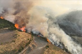 Turska: Požar u Izmiru proširio se na stambeno područje, jedna osoba poginula