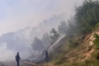 Cetinjski vatrogasci peti dan gase vatru, najnoviji požar izbio u Hanu Mašanovića; Ćećanović: Ljudski faktor je uzrok (FOTO)