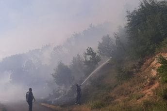 Aktivni požari u reonu Cetinja, Ćećanović pozvao mještane da pomognu u zaštiti imanja