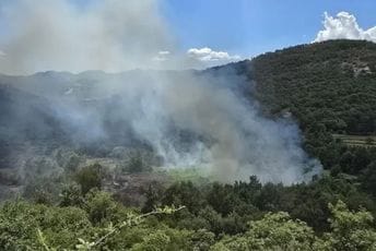 Cetinje: Lokalizovan požar u mjestu Gospoštine