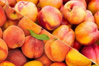 Optimalan period berbe breskve i nektarine omogućava duži rok upotrebe sočnih ljetnjih voćaka