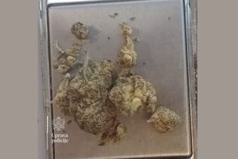 Na Sukobinu oduzeta marihuana, uhapšen njemački državljanin
