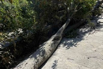 Podgorica: Manji požar zahvatio stablo ispod Kuslevove kuće (FOTO)
