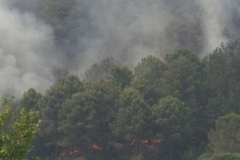 Požar na Volujici i dalje aktivan, vatra se širi ka moru