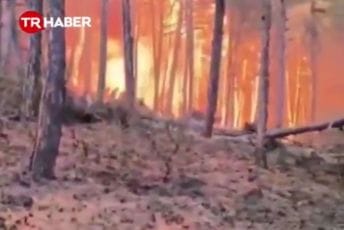 Požar u Turskoj: Poginulo najmanje 10 vatrogasaca i spasilaca