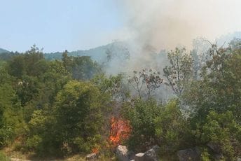 Nikšić: Aktivan veliki broj požara, jak vjetar otežava gašenje
