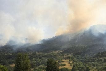 Bijelo Polje: Veliki požar u mjestu Žuber, ugroženi i objekti