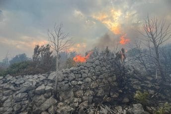 (FOTO) Tivat: Požar na Luštici, sve snage na terenu