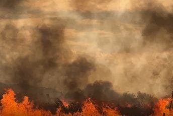Bešović: Gori širom Crne Gore, najkritičnije u Herceg Novom i na Njegušima, na terenu vatrogasci iz svih opština, angažovani i avioni